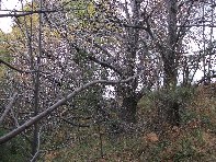 Monte_Fontane - 201011107 035.jpg